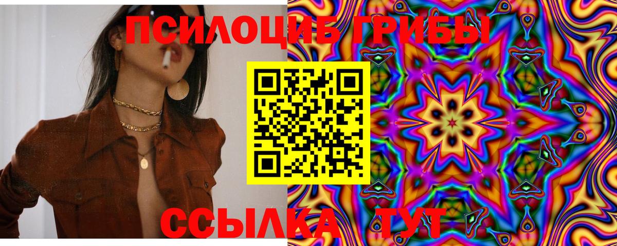 Псилоцибиновые грибы GOLDEN TEACHER  Вход с VPN  Кунгур 