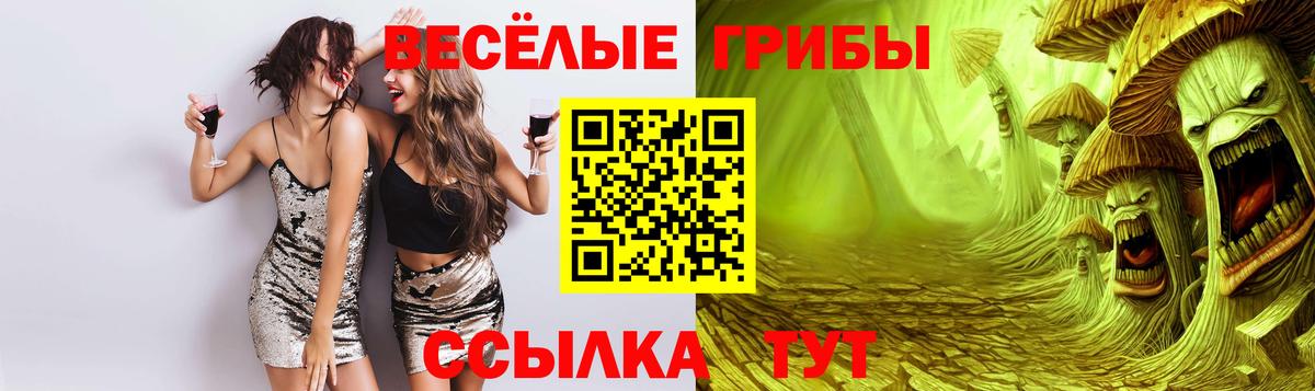 Псилоцибиновые грибы прущие грибы Кунгур